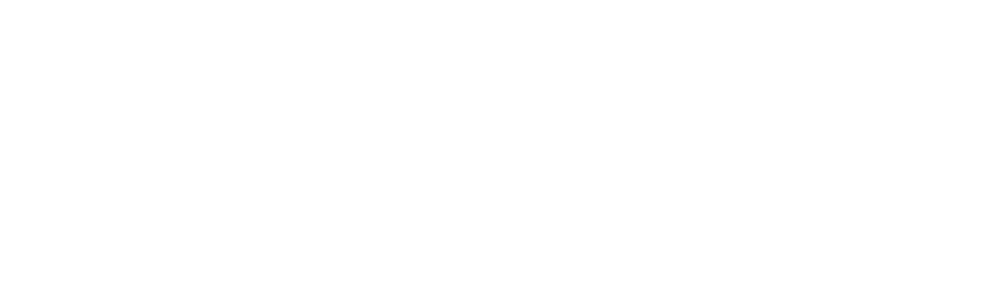 Helloholo Logo